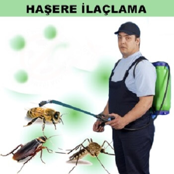 Kargı Böcek İlaçlama